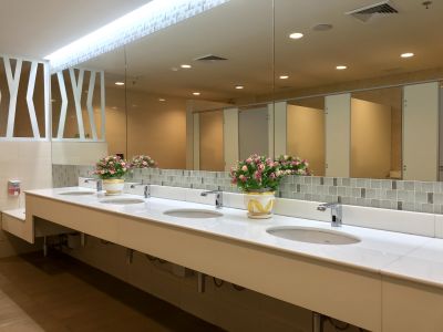 Elegant Vanity and Fixtures
